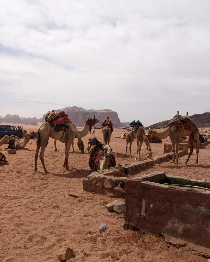 Wadi Rum Fun Time Tour'S Экстерьер фото