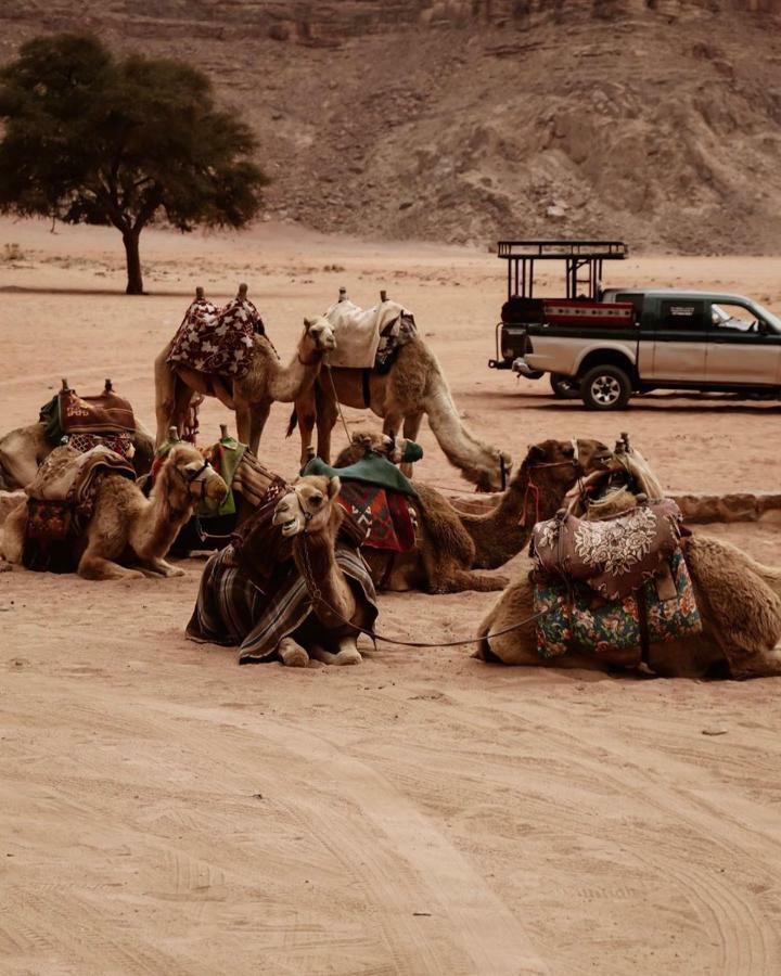 Wadi Rum Fun Time Tour'S Экстерьер фото