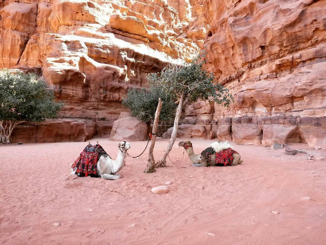 Wadi Rum Fun Time Tour'S Экстерьер фото